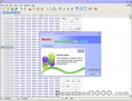 Axoio HexStudio 2006 screenshot